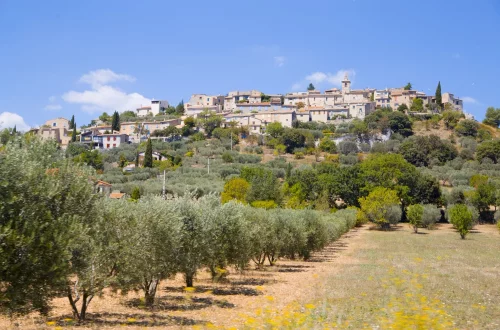 Learn how to choose high‑quality Italian olive oil with confidence by understanding freshness, flavor, and key label details.