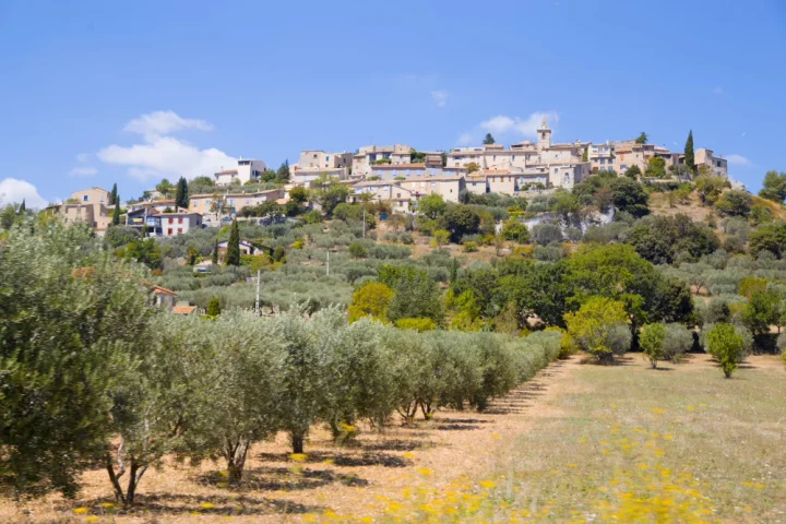 Learn how to choose high‑quality Italian olive oil with confidence by understanding freshness, flavor, and key label details.